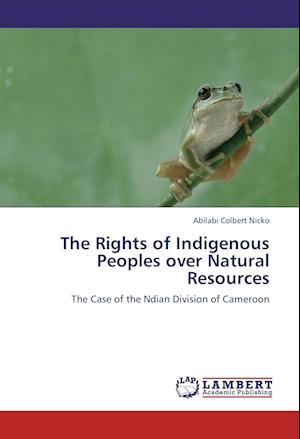 Cover for Nicko · The Rights of Indigenous Peoples (Book)