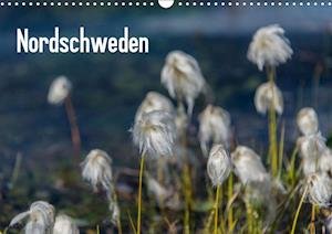 Cover for Jacob · Nordschweden (Wandkalender 2020 D (Bog)