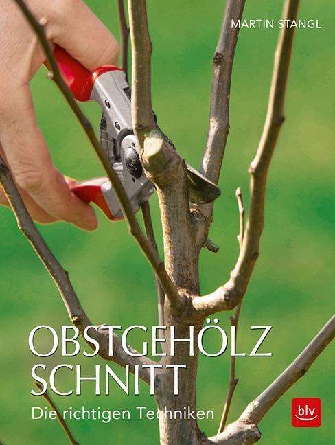 Cover for Stangl · Obstgehölzschnitt (Book)