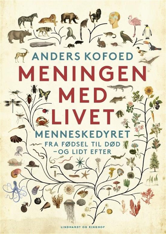 Cover for Anders Kofoed · Meningen med livet (Indbundet Bog) [1. udgave] (2021)