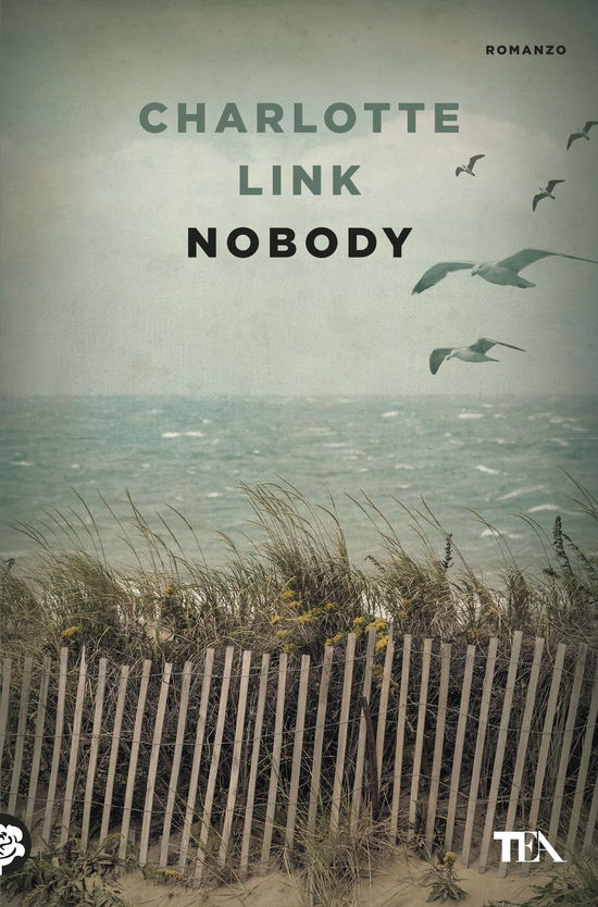 Cover for Charlotte Link · Nobody (Book)