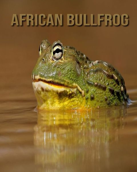 Cover for William Doyle · African Bullfrog (Paperback Book) (2020)