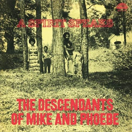 Cover for Descendants Of Mike &amp; Phoebe · A Spirit Speaks (LP) (2017)