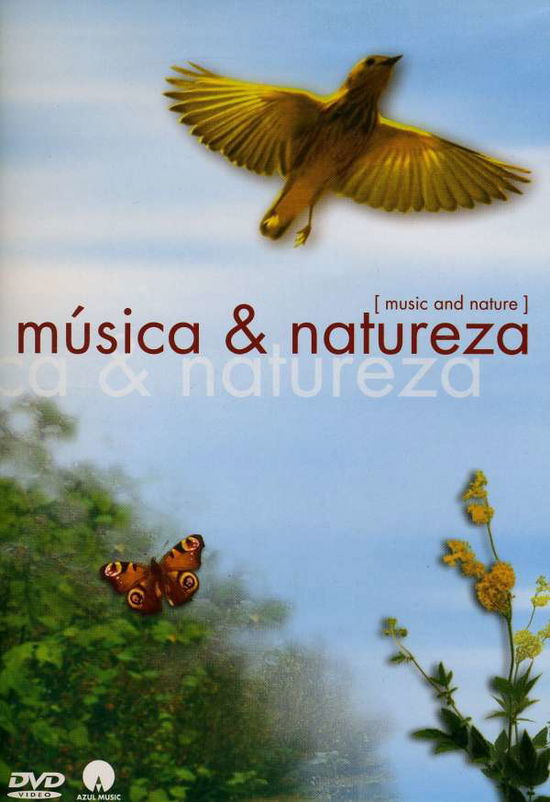 Cover for Corciolli · Musica &amp; Natureza / Music &amp; Nature Dvd (DVD) (2016)