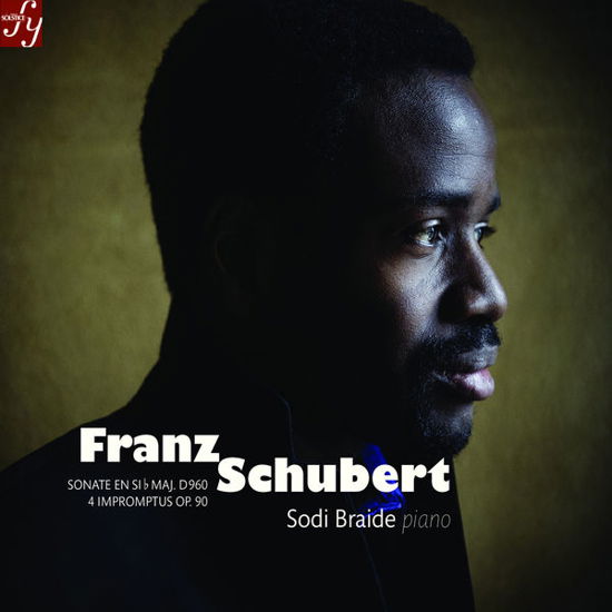Piano Works:sonata in B Flat Major - F. Schubert - Musik - SOLSTICE - 3279793092036 - 20 april 2015