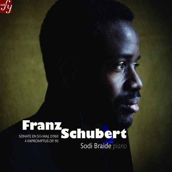 Cover for F. Schubert · Piano Works:sonata in B Flat Major (CD) (2015)