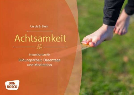 Cover for Stein · Achtsamkeit (Buch)