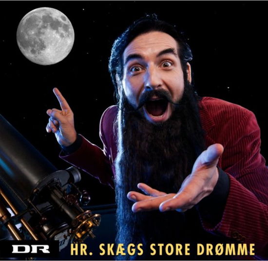 Hr. Skægs Store Drømme - Hr. Skæg - Music -  - 7332181040036 - November 21, 2011