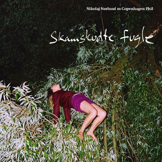 Skamskudte Fugle - Nikolaj Nørlund / Copenhagen Phil - Musik -  - 7332181079036 - 12. oktober 2017