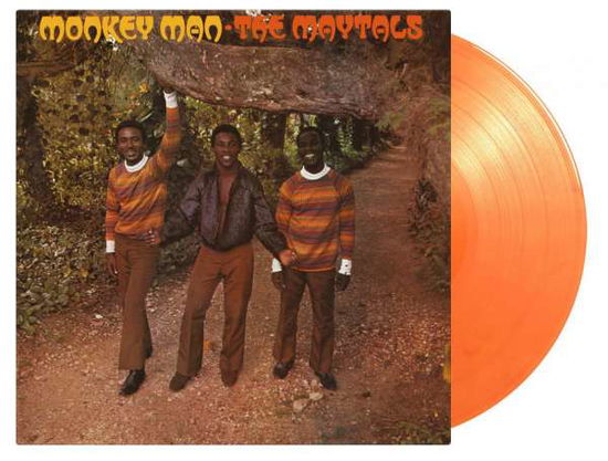 Cover for Maytals · Monkey Man (LP) [Coloured, High quality edition] (2020)