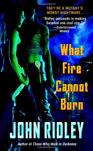 What Fire Cannot Burn - John Ridley - Bøker - Grand Central Publishing - 9780446612036 - 2006