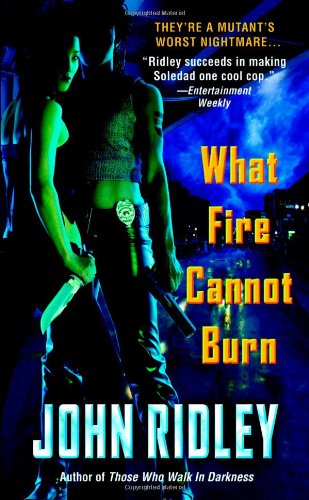What Fire Cannot Burn - John Ridley - Books - Grand Central Publishing - 9780446612036 - 2006