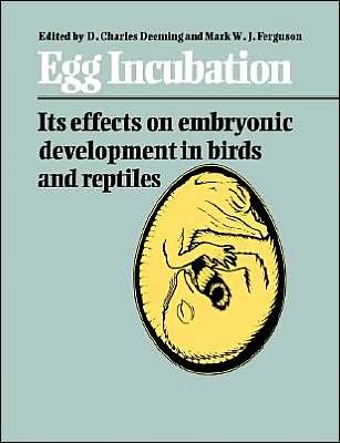 Cover for D Charles Deeming · Egg Incubation: Its Effects on Embryonic Development in Birds and Reptiles (Pocketbok) (2004)