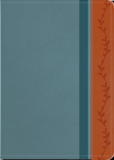 Cover for Unilit · Santa Biblia de Promesas Reina Valera 1960 / Compacta / Piel Especial Vintage (Paperback Bog) (2021)