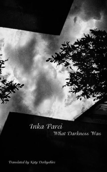 Cover for Inka Parei · What Darkness Was - The German List - (Seagull Titles CHUP) (Hardcover Book) (2013)