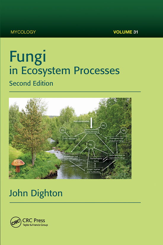 Cover for John Dighton · Fungi in Ecosystem Processes - Mycology (Paperback Book) (2021)