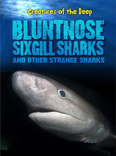 Cover for Rachel Lynette · Bluntnose Sixgill Sharks and Other Strange Sharks (Creatures of the Deep) (Paperback Book) (2011)