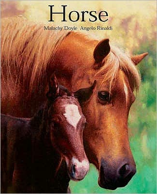 Cover for Malachy Doyle · Horse (Paperback Book) (2008)