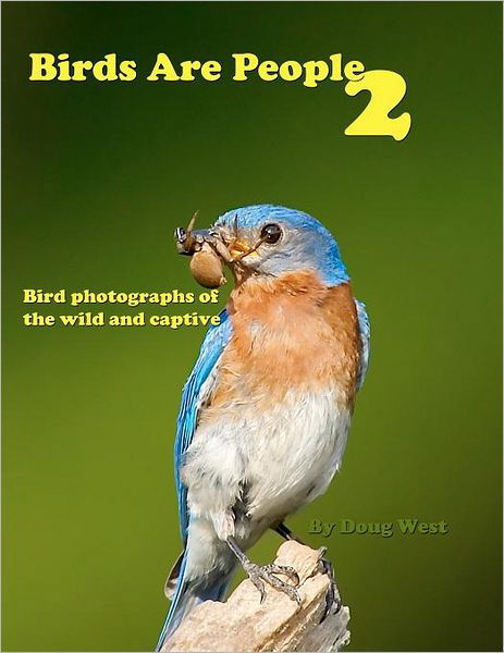 Cover for Doug West · Birds Are People 2 (Volume 2) (Paperback Book) (2012)