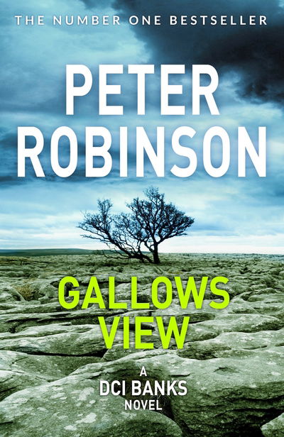 Gallows View - The Inspector Banks series - Peter Robinson - Books - Pan Macmillan - 9781509857036 - June 28, 2018