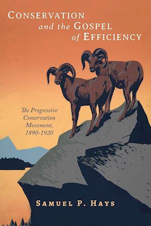 Cover for Samuel P Hays · Conservation and the Gospel of Efficiency (Paperback Book) (2014)