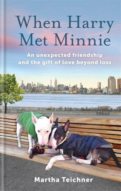 Cover for Martha Teichner · When Harry Met Minnie: An unexpected friendship and the gift of love beyond loss (Hardcover Book) (2021)