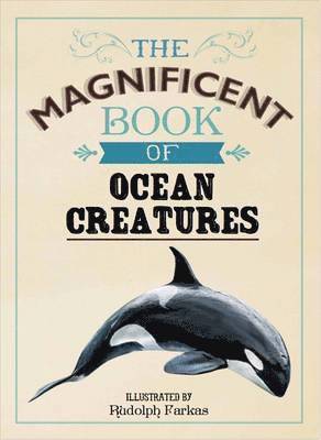 Cover for Tom Jackson · The Magnificent Book of Ocean Creatures - Magnificent (Hardcover Book) (2016)