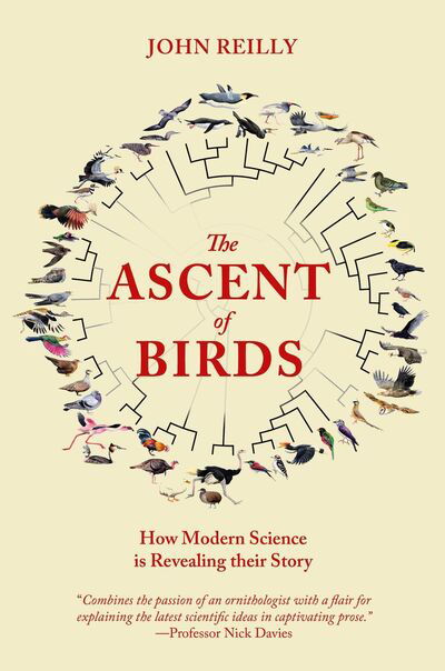 Cover for John Reilly · The Ascent of Birds: How Modern Science is Revealing their Story - Pelagic Monographs (Paperback Book) (2019)