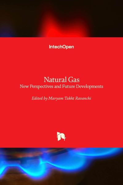 Cover for Natural Gas: New Perspectives and Future Developments (Hardcover Book) (2022)