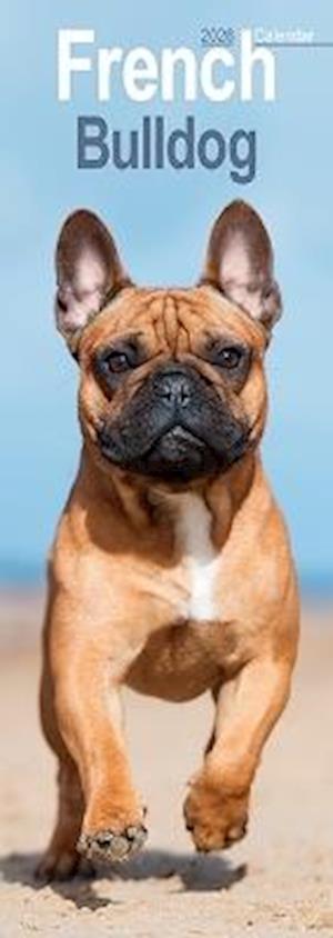 Cover for French Bulldog Slim Calendar 2026  Dog Breed Slimline Calendar - 12 Month (Calendar) (2025)