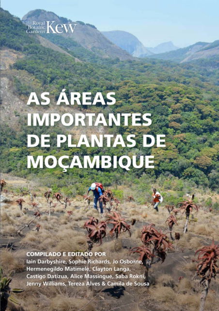 Cover for As Areas Importantes de Plantas de Mocambique (Paperback Book) [Portuguese edition] (2024)