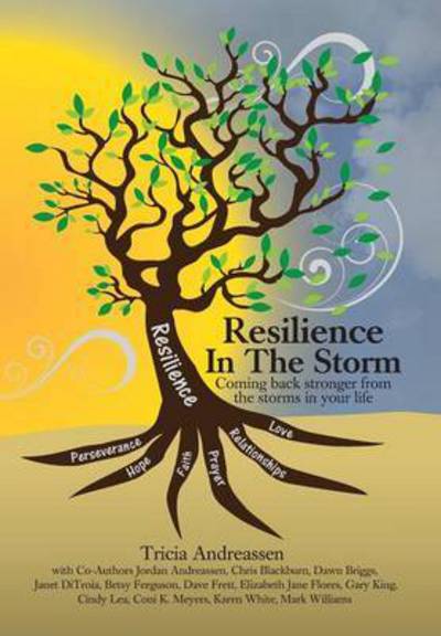 Cover for Tricia Andreassen · Resilience in the Storm: Coming Back Stronger from the Storms in Your Life - Warrior (Hardcover Book) (2016)