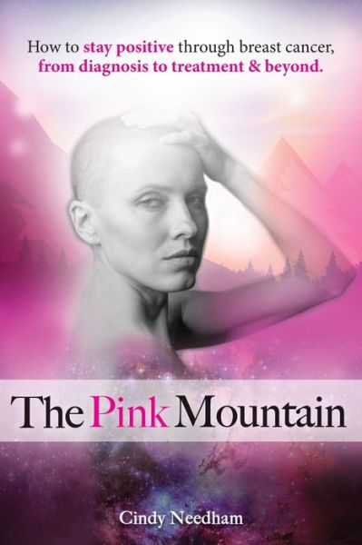 Cover for Cindy Needham · The Pink Mountain (Paperback Book) (2020)