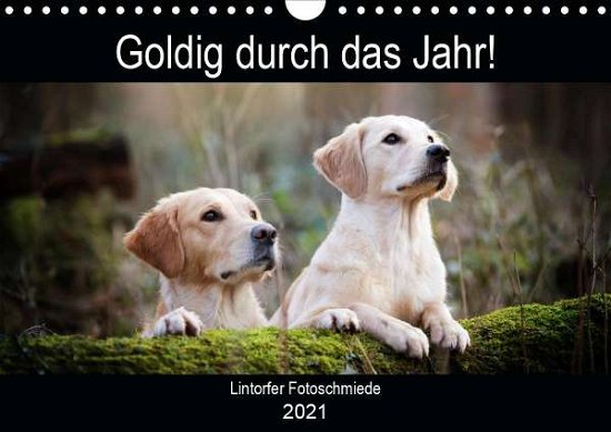 Cover for Bohlmann · Goldig durch das Jahr! (Wandka (Book)