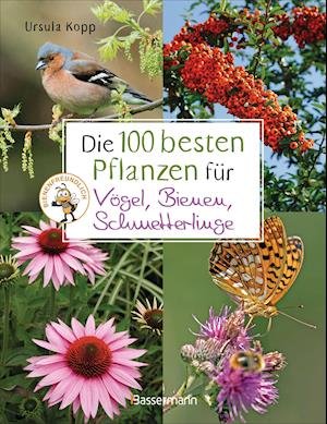 Cover for Ursula Kopp · Die 100 besten Pflanzen für Vögel, Bienen, Schmetterlinge (Hardcover Book) (2022)