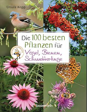 Cover for Ursula Kopp · Die 100 besten Pflanzen für Vögel, Bienen, Schmetterlinge (Hardcover Book) (2022)