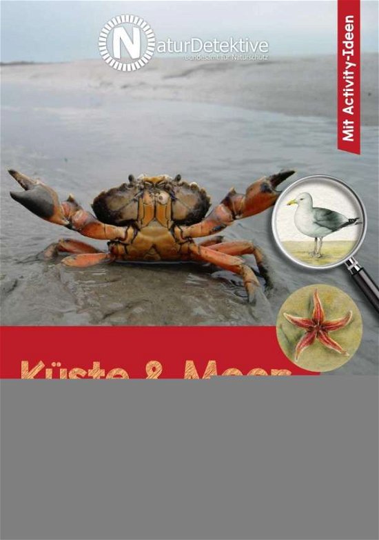 Cover for Kuhn · Küste &amp; Meer (Bog)