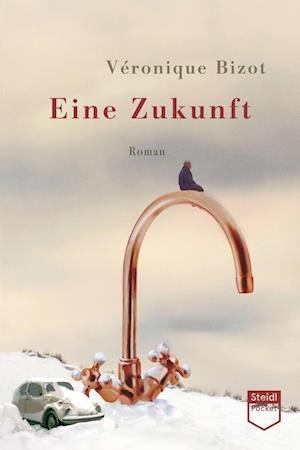 Cover for Véronique Bizot · Eine Zukunft (Steidl Pocket) (Book) (2023)