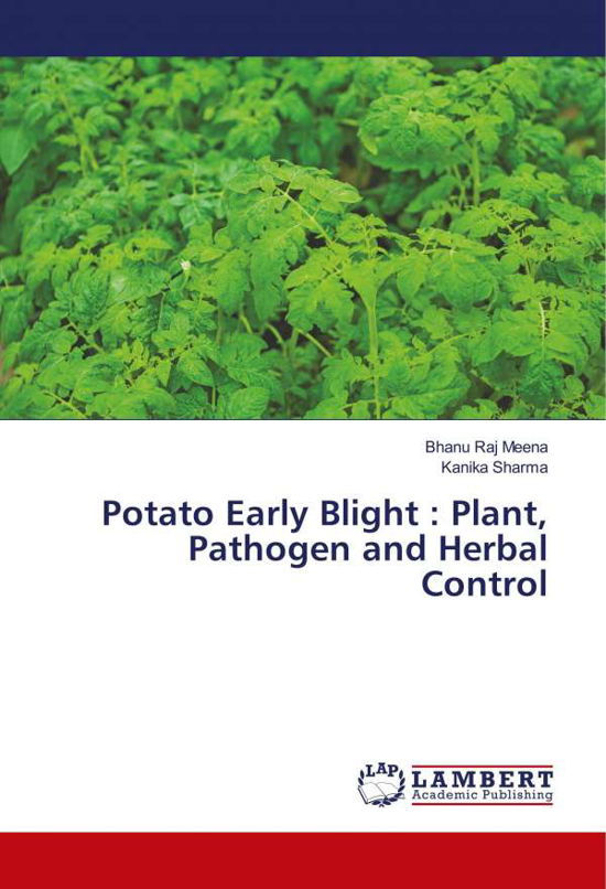 Cover for Meena · Potato Early Blight : Plant, Path (Bok) (2018)