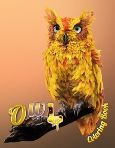 Cover for Masab Press House · Owl Coloring Book (Taschenbuch) (2020)