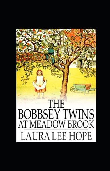 Cover for Laura Lee Hope · The Bobbsey Twins at Meadow Brook illustrated (Paperback Book) (2021)