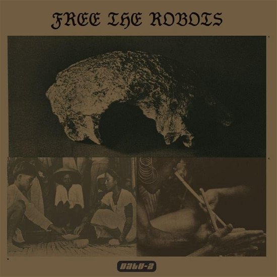 Cover for Free The Robots · Datu 2 (LP) (2024)