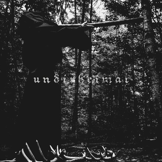 Cover for Undirheimar · Vardlokkur (CD) (2022)