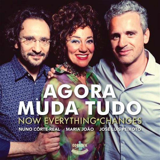 Agora Muda Tudo: Now Everything Changes - Ensemble Darcos - Musique - ODRADEK - 0859024006037 - 29 mars 2019
