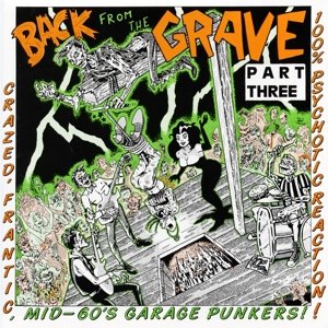 Cover for Back From The Grave · Back from the Grave - Vol.3 (LP) (2023)