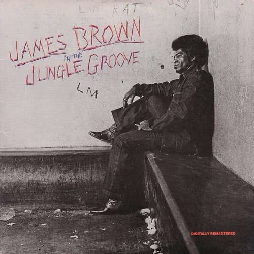 In the Jungle Groove - James Brown - Music - Universal - 4988005846037 - October 7, 2014