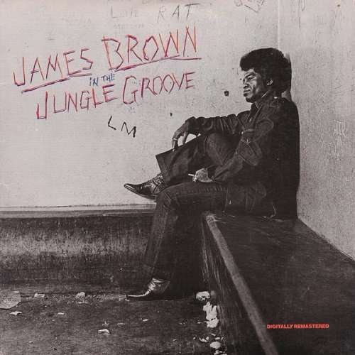In the Jungle Groove - James Brown - Musiikki - Universal - 4988005846037 - tiistai 7. lokakuuta 2014