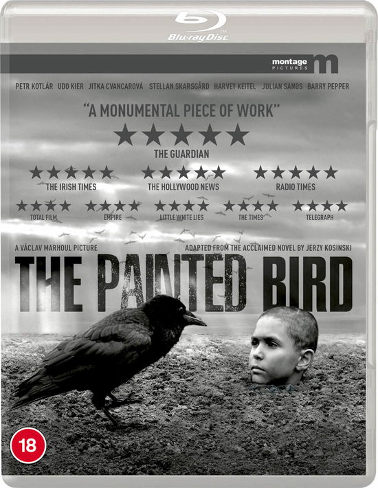 The Painted Bird - THE PAINTED BIRD Montage Pictures Bluray - Film - Montage Pictures - 5060000704037 - 16. november 2020