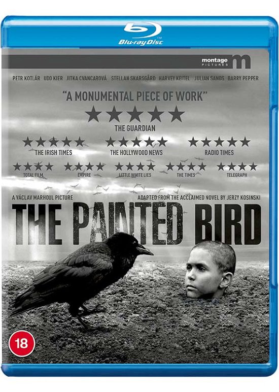 Painted Bird. The - THE PAINTED BIRD Montage Pictures Bluray - Film - EUREKA - 5060000704037 - 16. november 2020