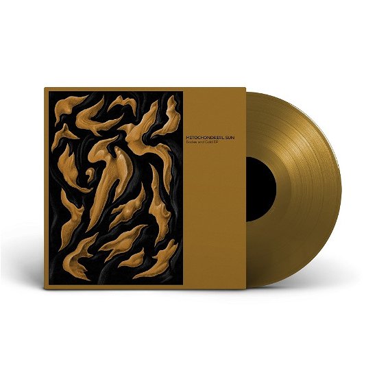 Mitochondrial Sun · Bodies And Gold (LP) (2023)